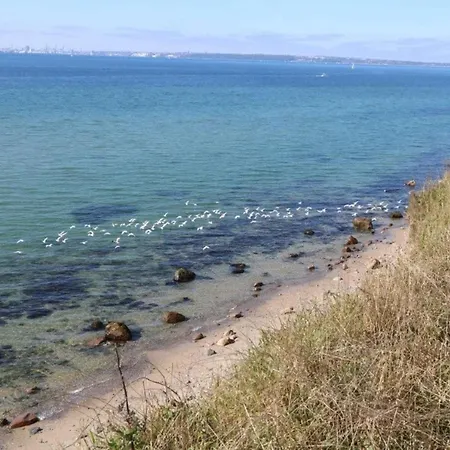 بيت للعطل 6 Person In Knebel-by Traum